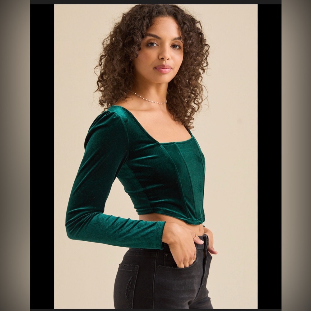 Altar'd State Sapphire Velvet Corset Top NWT-0350